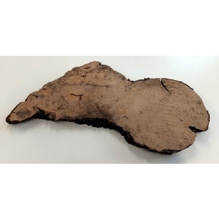 Fa korong Alma fa 40 x 20 x 2 cm