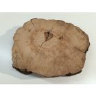 Fa korong Alma fa 25 x 4 cm