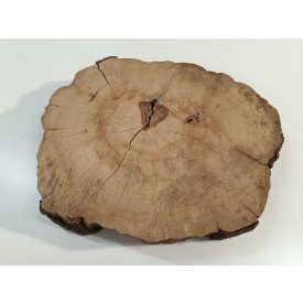 Fa korong Alma fa 25 x 4 cm