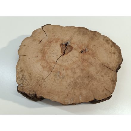 Fa korong Alma fa 25 x 4 cm