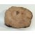 Fa korong Alma fa 25 x 4 cm