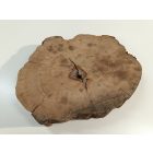 Fa korong Alma fa 25 x 4 cm