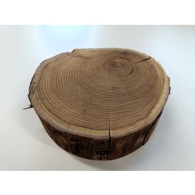 Fa korong Akác 21 x 6  cm