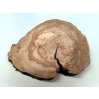 Fa korong Körte 22 x 2 cm