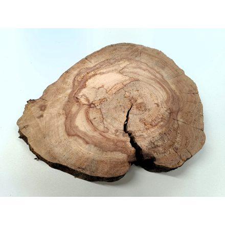 Fa korong Körte 22 x 2 cm