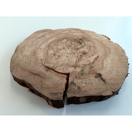 Fa korong Körte 21 x 2 cm