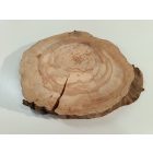 Fa korong Körte 22 x 2 cm