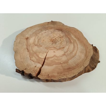 Fa korong Körte 22 x 2 cm