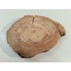 Fa korong Körte 22 x 2 cm