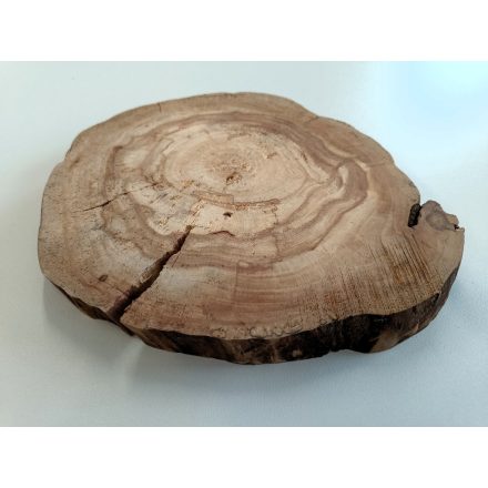 Fa korong Körte 22 x 2 cm