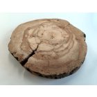 Fa korong Körte 22 x 2 cm