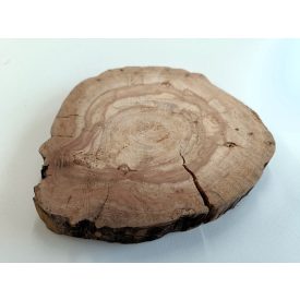 Fa korong Körte 22 x 2 cm