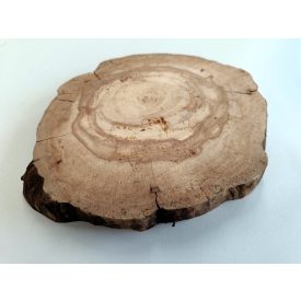 Fa korong Körte 22 x 2 cm