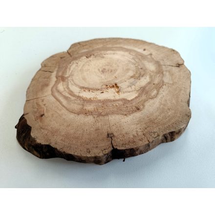 Fa korong Körte 22 x 2 cm