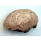 Fa korong Körte 22 x 2 cm