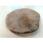 Fa korong Nyír 27 x 3  cm