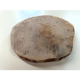 Fa korong Nyír 27 x 3  cm