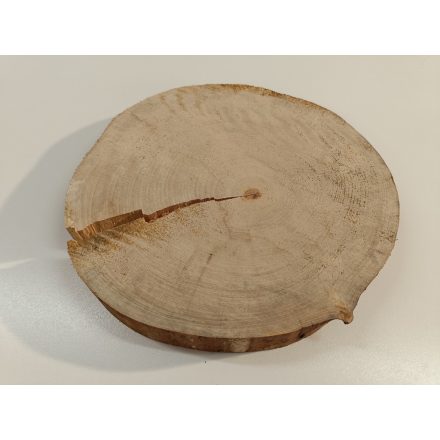 Fa korong Nyír 26 x 3  cm