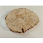 Fa korong Nyír 25 x 3  cm