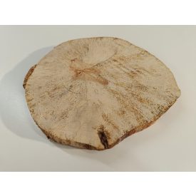 Fa korong Nyír 25 x 3  cm