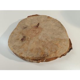 Fa korong Nyír 27 x 3  cm
