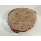 Fa korong Nyír 27 x 3  cm