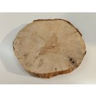 Fa korong Nyír 25 x 3  cm