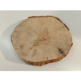 Fa korong Nyír 25 x 3  cm