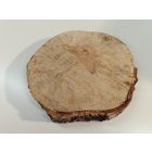 Fa korong Nyír 25 x 3  cm