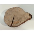 Fa korong Nyír 25 x 3  cm