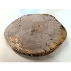 Fa korong Nyír 27 x 3  cm