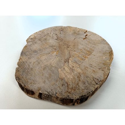 Fa korong Nyír 26 x 3  cm