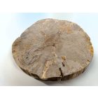 Fa korong Nyír 26 x 3  cm
