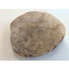 Fa korong Nyír 27 x 3  cm