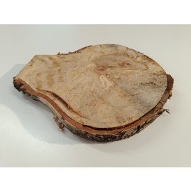 Fa korong Nyír 23 x 3  cm