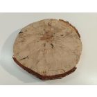 Fa korong Nyír 28 x 3  cm