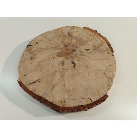 Fa korong Nyír 28 x 3  cm
