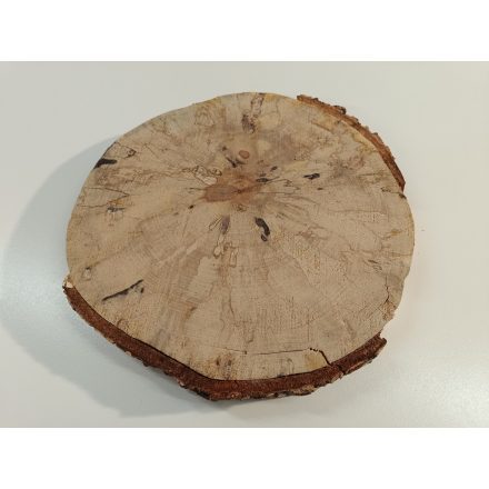 Fa korong Nyír 28 x 3  cm
