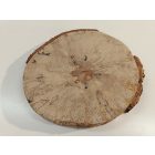 Fa korong Nyír 28 x 3  cm