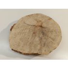 Fa korong Nyír 24 x 3  cm