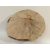 Fa korong Nyír 24 x 3  cm
