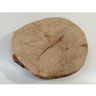 Fa korong Nyír 24 x 3  cm