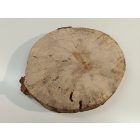 Fa korong Nyír 27 x 3  cm