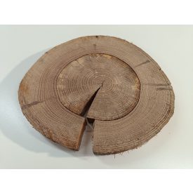 Fa korong Tölgy 30 x 3 cm