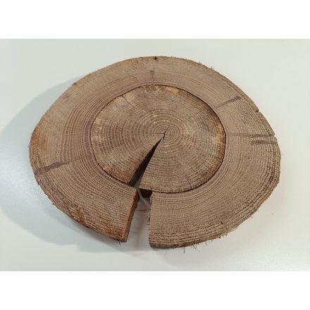 Fa korong Tölgy 30 x 3 cm
