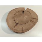 Fa korong Tölgy 30 x 3 cm