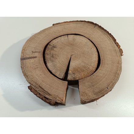 Fa korong Tölgy 32 x 4 cm