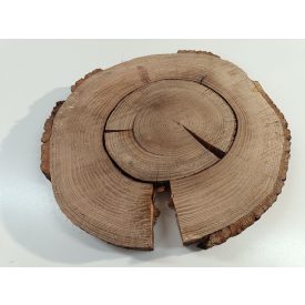 Fa korong Tölgy 38 x 4 cm