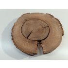 Fa korong Tölgy 38 x 4 cm