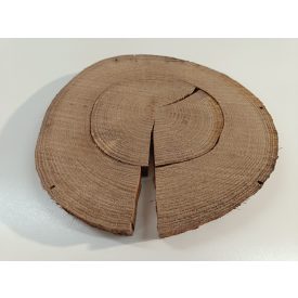 Fa korong Tölgy 30 x 3 cm